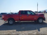 Ford F-150 Xlt 1FTFW1ET1EFC21032 снимка