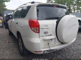 Toyota Rav4 JTMBD33V285205159 fotografie