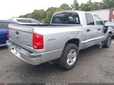 Dodge Dakota Bighorn/Lonestar 1D7CW3GKXAS225851 снимка