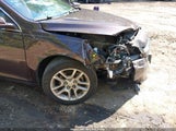 Chevrolet Malibu 1Lt 1G11C5SL7FF205247 снимка
