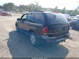 Chevrolet Trailblazer Ls 1GNDT13S132102354 снимка