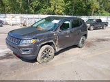 Jeep Compass Trailhawk 4X4 3C4NJDDB5MT556478 снимка
