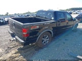 Ford F-150 60Th Anniversary/Fx4/King Ranch/Lariat/Xlt 1FTPW14V18FB81076 fotografie