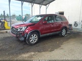 Honda Cr-V Ex-L 5J6RE487X9L069933 photo