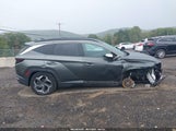 Hyundai Tucson Limited 5NMJECAE9NH054535 снимка