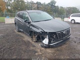 Hyundai Tucson Limited 5NMJECAE9NH054535 fotografie