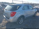 Chevrolet Equinox Ls 2GNFLCEK1C6243039 fotografie