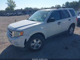 Ford Escape Xlt 1FMCU0DG1AKA04732 снимка