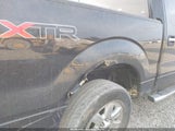 Ford F-150 Xlt 1FTFW1EF8DFD59742 снимка