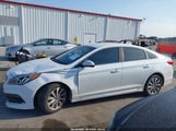 Hyundai Sonata Sport 5NPE34AF1GH273243 photo