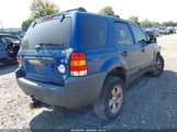 Ford Escape Xlt/Xlt Sport 1FMYU03167KA05449 снимка