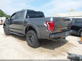 Ford F-150 Raptor 1FTFW1RG2HFA96818 снимка