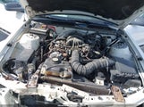 Ford Mustang V6/V6 Premium 1ZVHT84N195107537 photo