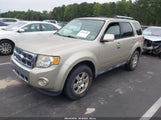 Ford Escape Limited 1FMCU0E72BKA76250 снимка