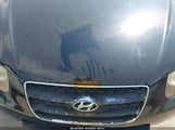 Hyundai Santa Fe Gls 5NMSG13D87H119692 fotografie