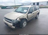 Chevrolet Trailblazer Ls 1GNDT13S742430833 fotografie