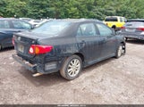 Toyota Corolla S 1NXBU4EE3AZ276946 снимка