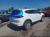 Miniaturka zdjęcia 4