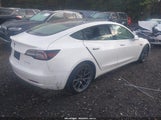 Tesla Model 3 Long Range Dual Motor All-Wheel Drive 5YJ3E1EBXLF790752 fotografie
