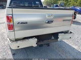 Ford F-150 Fx4/King Ranch/Lariat/Platinum/Xl/Xlt 1FTPW14V69FA73554 photo