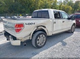 Ford F-150 Fx4/King Ranch/Lariat/Platinum/Xl/Xlt 1FTPW14V69FA73554 fotografie