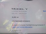 Tesla Model Y Long Range Dual Motor All-Wheel Drive 7SAYGAEE4SF283972 fotografie