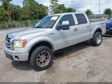 Ford F-150 Fx4/King Ranch/Lariat/Platinum/Xl/Xlt 1FTPW14V09FA55230 photo