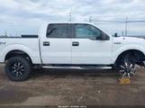 Ford F-150 Xlt 1FTFW1EF8EKF90522 снимка