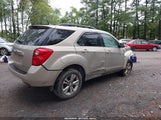 Chevrolet Equinox 1Lt 2GNALDEK3C1299013 снимка