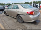 Toyota Corolla Le 1NXBU40E49Z036131 снимка