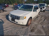 Ford Escape Xlt 1FMCU9D79AKA09181 снимка