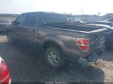 Ford F-150 Xlt 1FTFW1ET6EFB43881 снимка