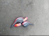 Land Rover Range Rover Sport Hse SALWR2RV3JA812021 снимка