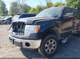Ford F-150 Xlt 1FTFW1EF1DFB28973 снимка