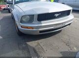 Ford Mustang V6 Deluxe/V6 Premium 1ZVHT84N485165530 снимка