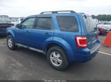 Ford Escape Xlt 1FMCU0D78AKB51176 снимка