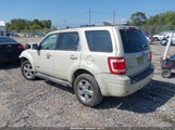 Ford Escape Limited 1FMCU941X8KB10431 снимка