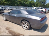 Dodge Challenger Sxt 2C3CDYAG2EH204480 снимка