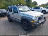 Jeep Liberty Renegade 1J4GL38K96W129822 photo