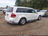 Mercedes-Benz Gl 450 4Matic 4JGBF71E38A302393 fotografie