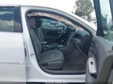 Chevrolet Malibu Limited Ls 1G11B5SA3GF110851 photo