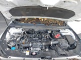 Honda Accord Sport 1HGCV1F37KA086931 photo