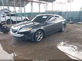 Acura Tl 3.5 19UUA8F58AA010045 снимка