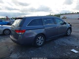 Honda Odyssey Ex-L 5FNRL5H68GB042996 снимка