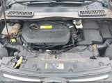 Ford Escape Se 1FMCU9GX2EUD42618 снимка