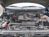 Ford F-150 Fx4/King Ranch/Lariat/Platinum/Xl/Xlt 1FTPW14V19FA32006 fotografie