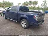 Ford F-150 Fx4/King Ranch/Lariat/Platinum/Xl/Xlt 1FTPW14V19FA32006 fotografie