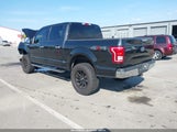 Ford F-150 Xlt 1FTEW1EG1FFC21130 снимка