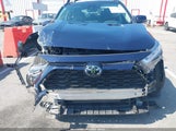Toyota Rav4 Xle 2T3W1RFV1RW306695 photo