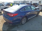 Hyundai Sonata Sport 5NPE34AF7HH484464 снимка